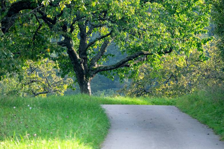 1780228_839597646074331_6897382490816986682_o