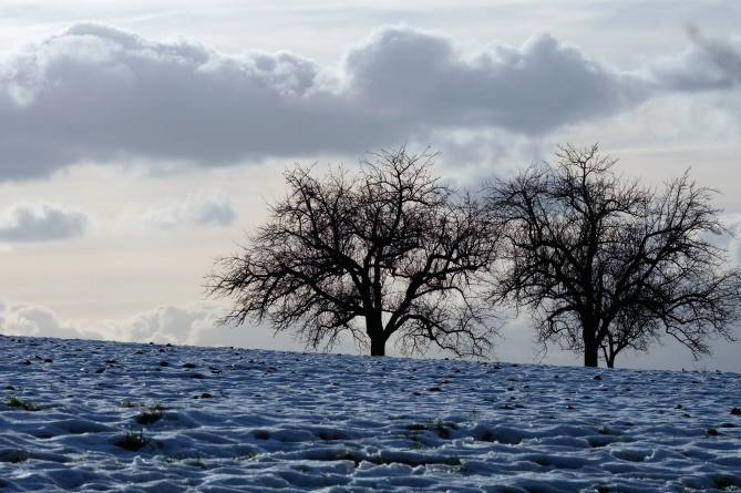 10974380_914538195246942_4367805415853836653_o