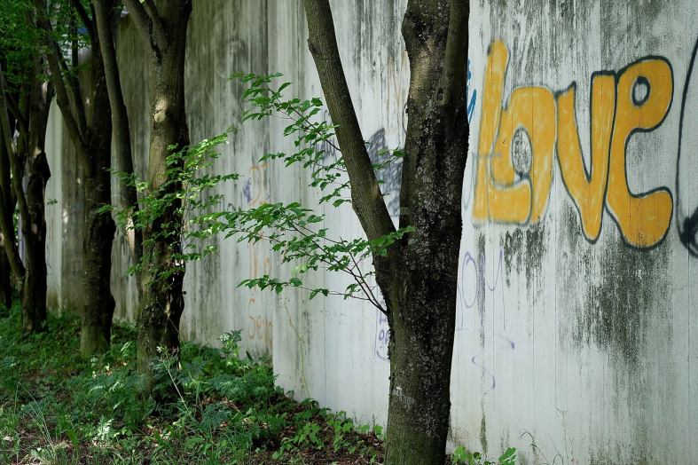 11406134_987077867992974_7269944323352400318_o