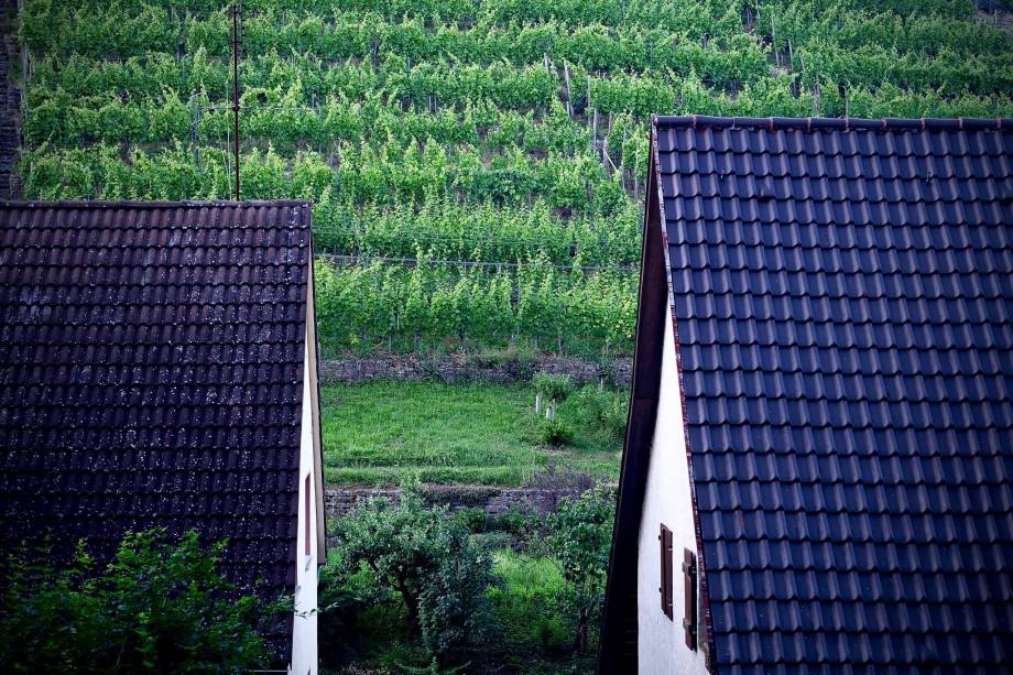 11016148_992270327473728_4159758556513466351_o