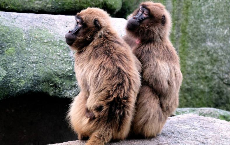 10915022_900550299979065_2747102219680850755_o